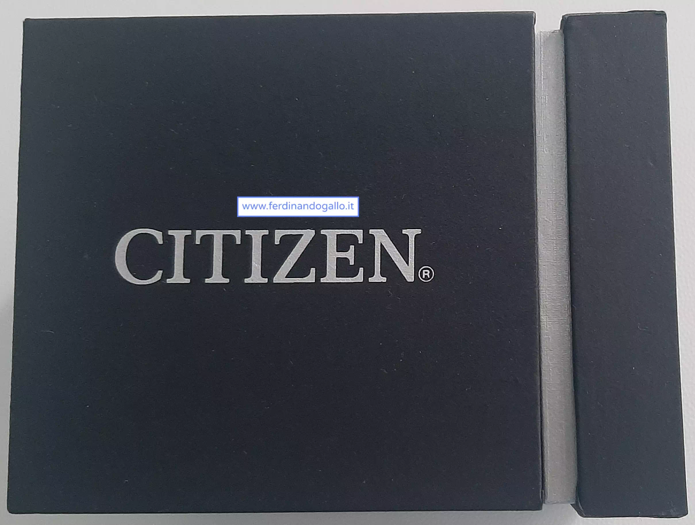 CITIZEN CA4600-89E